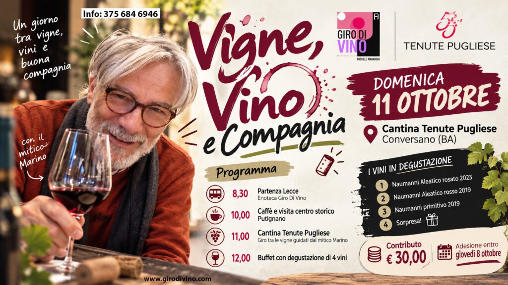 Vigne, vino e compagnia